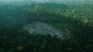 Luchtfoto van een ontbost gebied in de Amazone.Beeld REUTERS