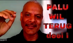 Embedded thumbnail for Palu wil terug