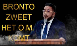 Embedded thumbnail for BRONTO ZWEET