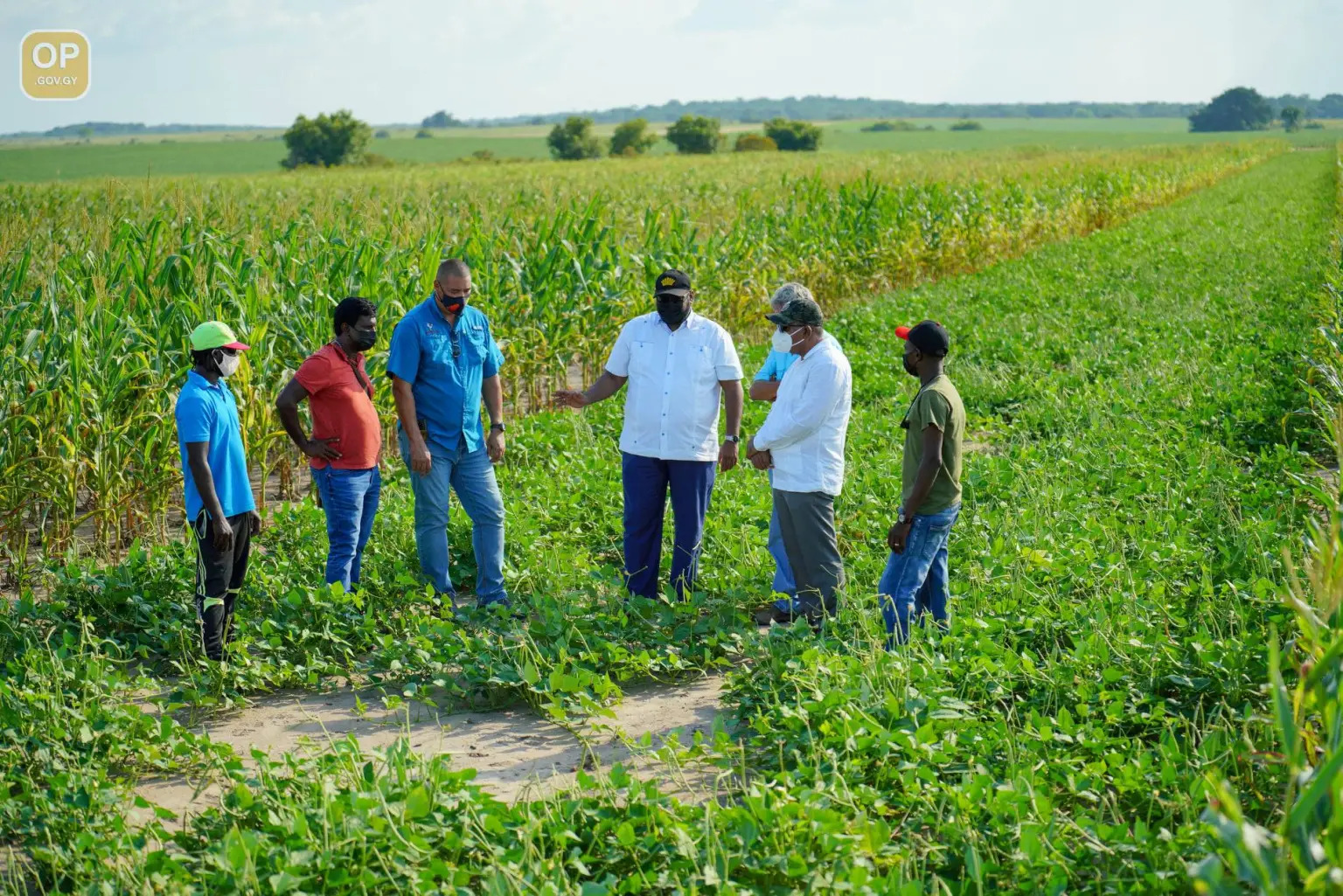 terugslag: president Irfaan Ali (midden) in gesprek met hoofdrolspelers in de proefprojecten voor sojabonen en maïs in Ebini, aan de Boven-Berbicerivier, in september 2021 (Foto: Kabinet van de president)