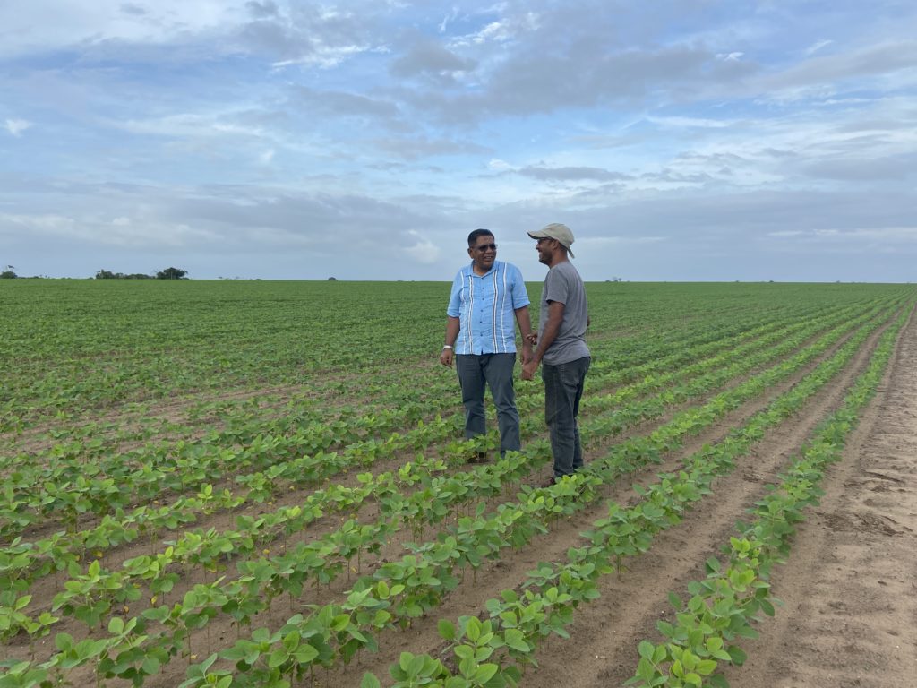 Minister van Landbouw Zulfikar Mustapha bezoekt de sojabonenteelt op Dubulay Ranch (Foto: News Room/ 10 januari 2023)