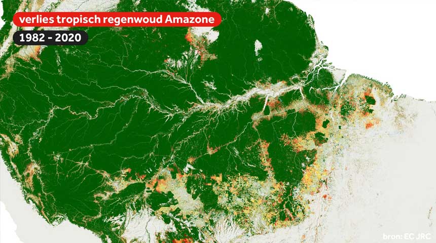 ontbossing in het Amazonewoud tussen 1982 en 2020 