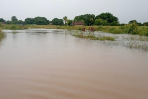 A flooded section of Aishalton, Deep South Rupununi, Region Nine (Photo: Michael Thomas)