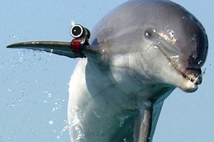 REUTERS/U.S. Navy/Brien Aho © REUTERS/U.S. Navy/Brien Aho