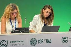 Deelnemers aan COP28. Foto: UNFCCC