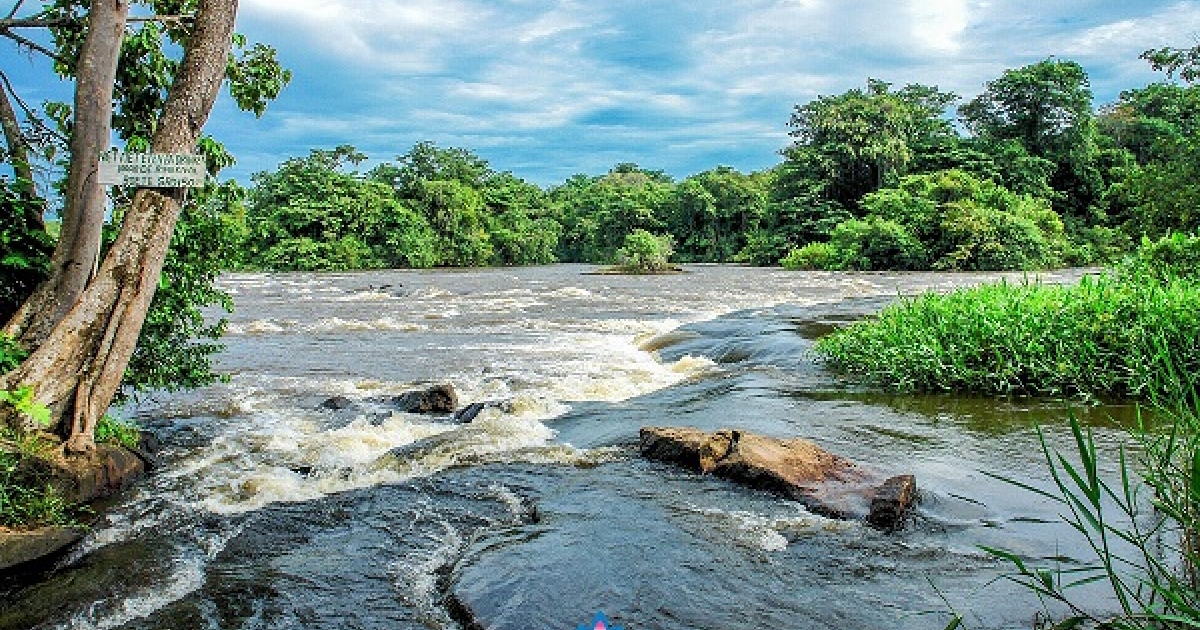 Overwinteren in Suriname in een tropisch klimaat | Suriname Nieuws Centrale