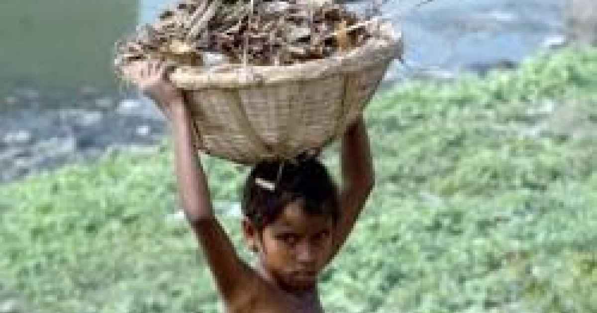 Armoede, voornaamste oorzaak kinderarbeid Suriname Nieuws Centrale