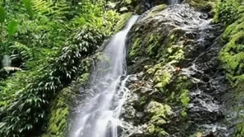 Aanpak illegale goudwinning Brownsberg grote uitdaging voor regering