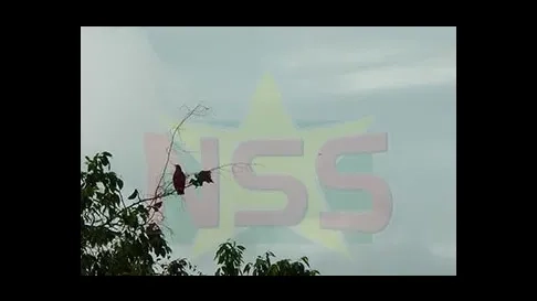 Rustig weerbeeld op Eerste Kerstdag met matige buien