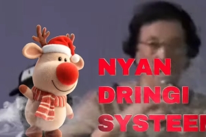 Embedded thumbnail for NYAN DRINGI SYTEEM