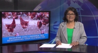 Embedded thumbnail for Geen ruimte voor opvang geïmporteerde runderen STVS JOURNAAL 16 mrt 2023