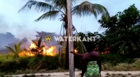 Embedded thumbnail for Grote grasbrand in Suriname