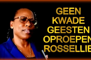 Embedded thumbnail for ROSSELLIE