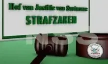 Advocaten trekken verklaring deskundige in zaak drugsvliegtuig in twijfel