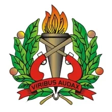 Politiebericht over tragisch ongeval in Coesewijnestraat