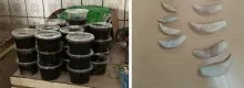 Twee buitenlanders aangehouden voor illegale handel in dierlijke substanties