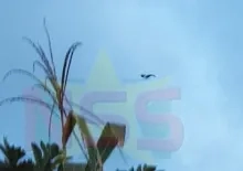 Overwegend zonnig weer met bewolking en verspreide buien