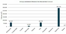 Houtproductie daalt licht in 2025; Sipaliwini blijft grootste productiegebied