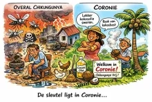 Coronie en het mysterie van de ‘afwezige epidemie’
