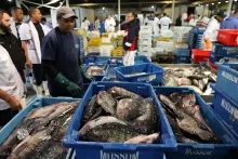 Braziliaanse visserijsector slaat alarm na Amerikaanse invoertarieven van 50%