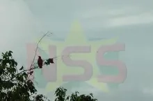 Wisselvallig weer op deze zondag 