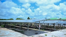 Structureel onderhoud moet zonne-energieprojecten in binnenland draaiende houden