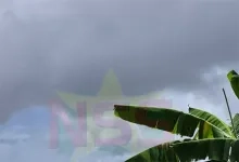 Warme start van de dag; later regen- en onweersbuien mogelijk