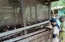 LVV onderzoekt kansen voor pluimveehouderij in Asidonhopo en omgeving