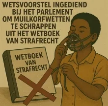 Initiatiefwet: ‘muilkorfartikelen’ schrappen uit strafrecht, vrije meningsuiting centraal