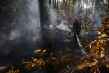 Frankrijk en Spanje bereiden zich voor op hittegolf die bosbranden kan verergeren