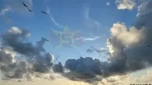 Bewolkte dag met opnieuw kans op stevige buien