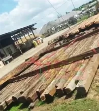 SBB stuit op bijkans 2.160 illegale bruinhartpalen bij EBS