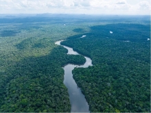 Guyana verdient meer dan US$353 miljoen aan carbon credits sinds 2022