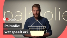 Embedded thumbnail for Hoeveel palmolie zit er in jouw winkelmandje? | NOS op 3