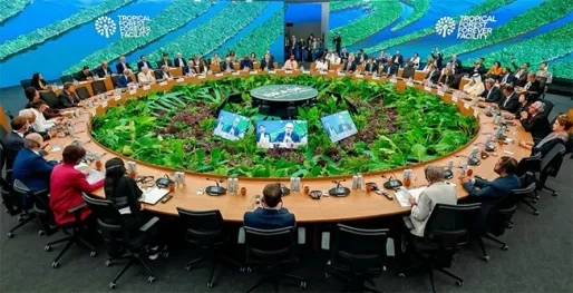 Simons: Bossen moeten eerlijk worden beloond voor hun bijdrage aan het klimaat