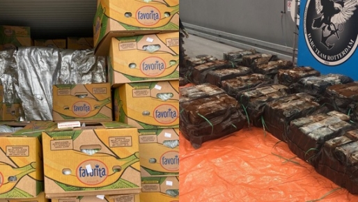 Drugs verstopt in bananen uit Ecuador (foto: OM Nederland)