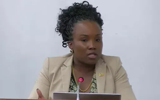 Vijf jaar zittingstermijn AAC: discussie nog open in DNA