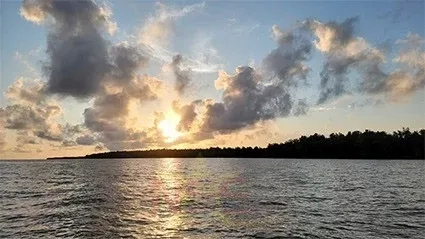 Wisselvallig weer met kans op verspreide buien 