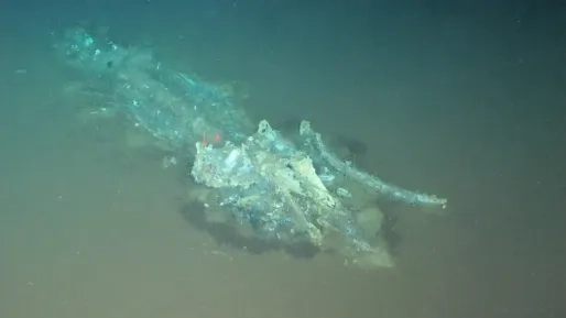 Walviskerkhof gevonden in Indische Oceaan: 1200 kilometer lang, miljoenen jaren oud