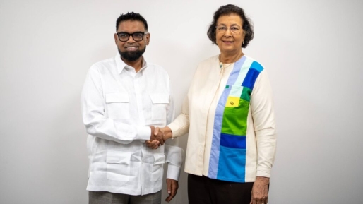 President Simons en president Ali bespreken samenwerking tussen Suriname en Guyana