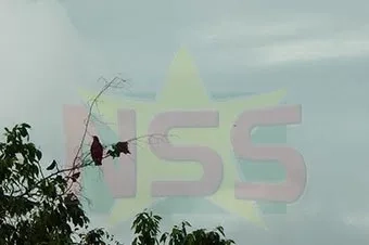 Een warme dag met kans op onweer in de middag