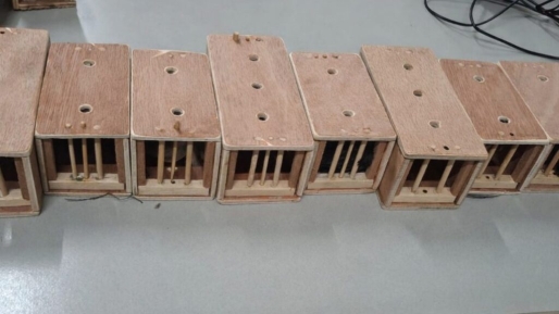 Passagier aangehouden op Zanderij voor poging tot smokkel van beschermde zangvogels