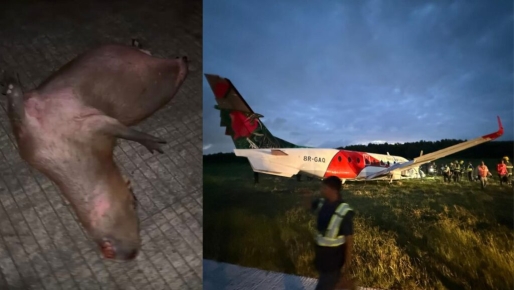 Vliegtuig uit Suriname zwaar beschadigd na botsing met kapua op luchthaven Guyana