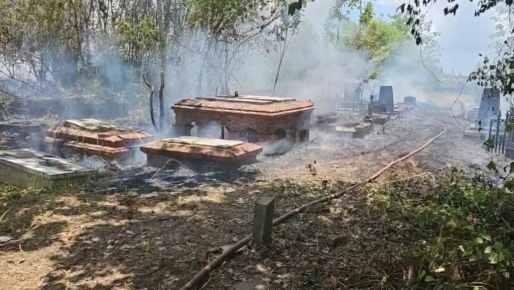Felle brand bij Oranjetuin na bestrijding Braziliaanse bijen