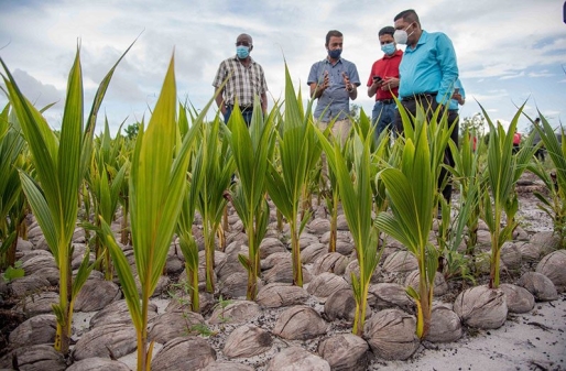 A local farmer engages Agriculture Minister, Zulfikar Mustapha, at a farm in Laluni (DPI photo)