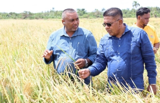 Hoofdwetenschapper Mahendra Persaud en Landbouwminister Zulfikar Mustapha bij de lancering op maandag