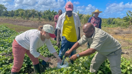 NPPO-inspecteurs tijdens de training in plantgezondheid. Foto: CDS