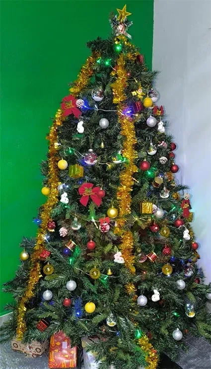 Column: Kerstboodschap of zelfverheffende politieke mythe