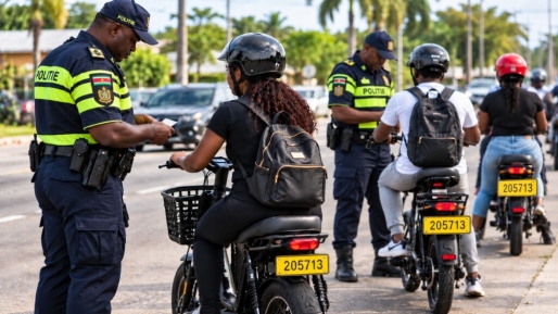 Vanaf 1 januari controle op e-bikes: kentekens, helmen en leeftijdsgrens in nieuwe regels