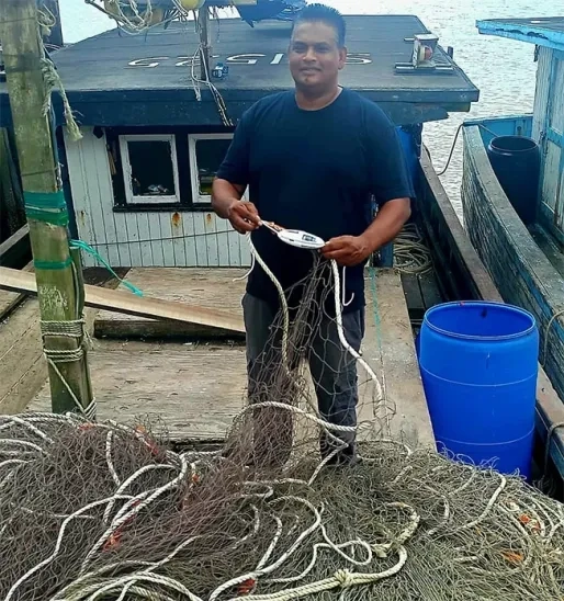 Vissers zetten in op bescherming zeeleven en behoud exportmarkten